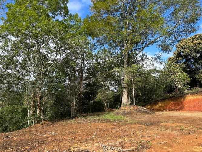 Lote en venta en El Carmen De Viboral, El Carmen de Viboral, 3300 m² · foto 7 de 14