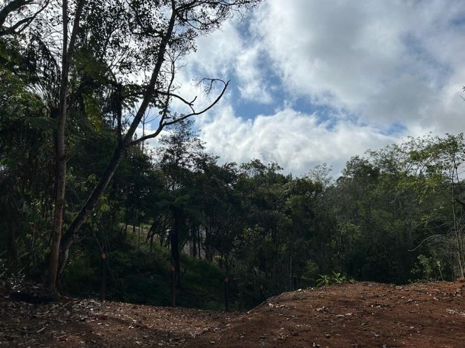 Lote en venta en El Carmen De Viboral, El Carmen de Viboral, 3300 m² · foto 10 de 14