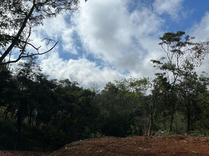 Lote en venta en El Carmen De Viboral, El Carmen de Viboral, 3300 m² · foto 11 de 14