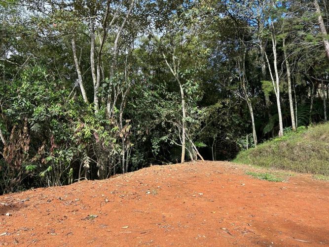 Lote en venta en El Carmen De Viboral, El Carmen de Viboral, 3300 m² · foto 13 de 14