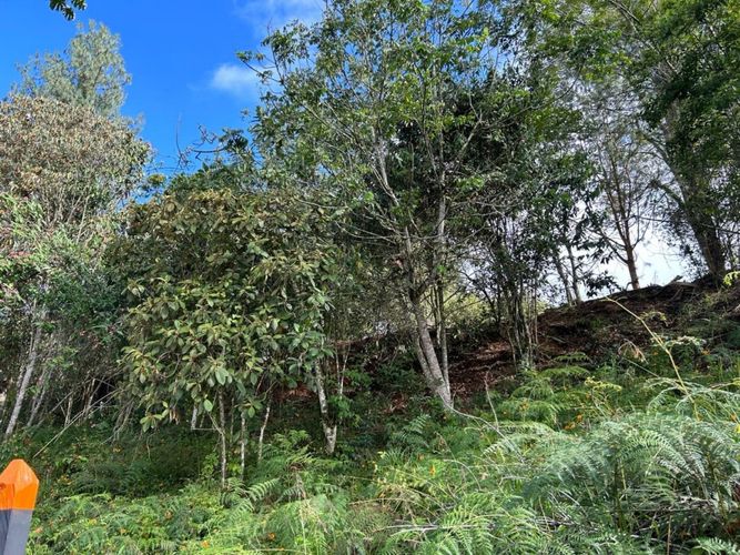 Lote en venta en El Carmen De Viboral, El Carmen de Viboral, 3300 m² · foto 14 de 14