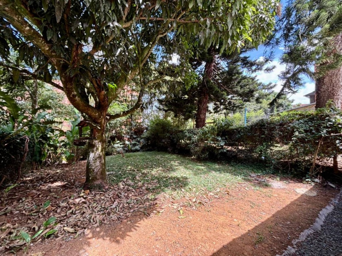 Casa en arriendo en El Poblado, Medellín · foto 12 de 24