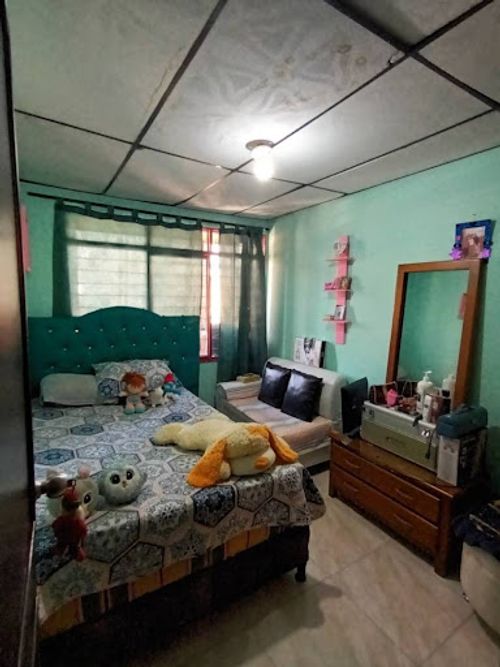 Casa de 6 alcobas en venta en La Francia, Pereira, 185 m² · foto 6 de 24