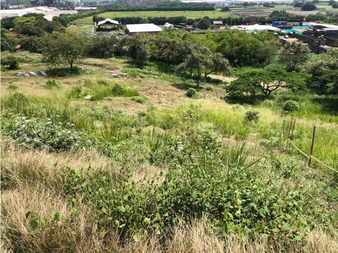 Lote en venta en Rural, Cali, 3580 m² · foto 5 de 15