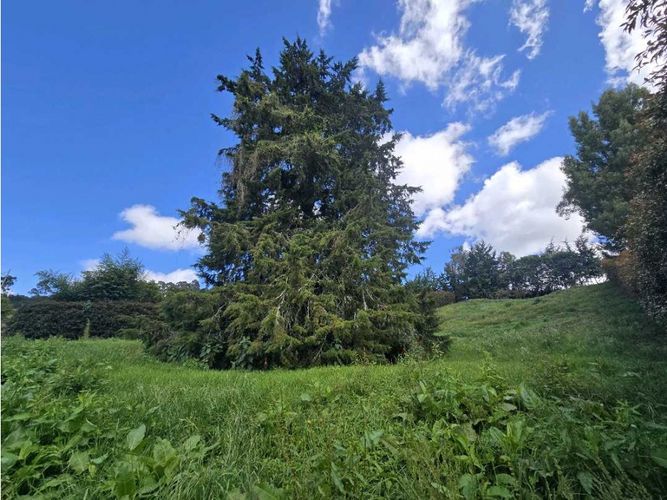 Lote en venta en Las Palmas, Envigado, 2250 m² · foto 6 de 10