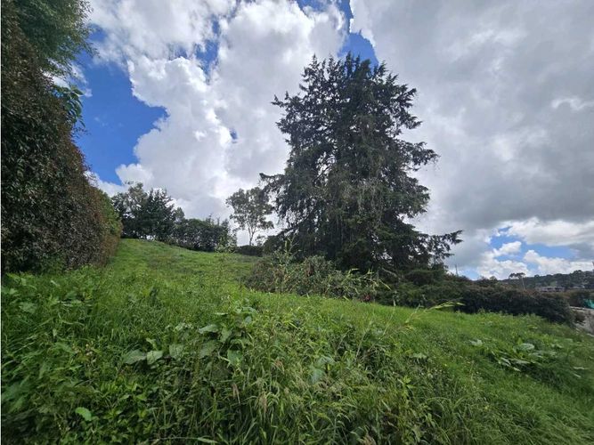 Lote en venta en Las Palmas, Envigado, 2250 m² · foto 9 de 10
