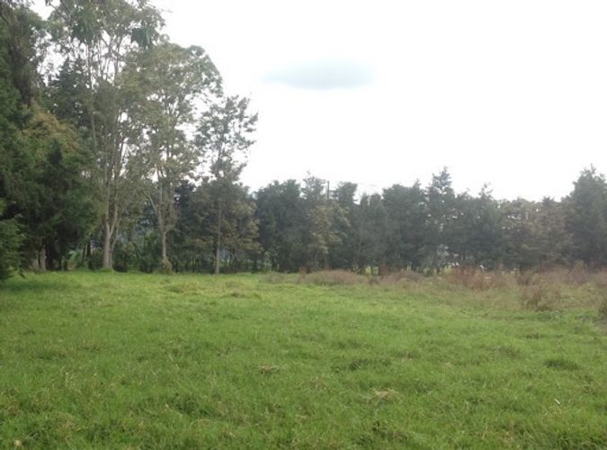 Lote en arriendo en Los Cedros, Chía, 7395 m² · foto 2 de 8
