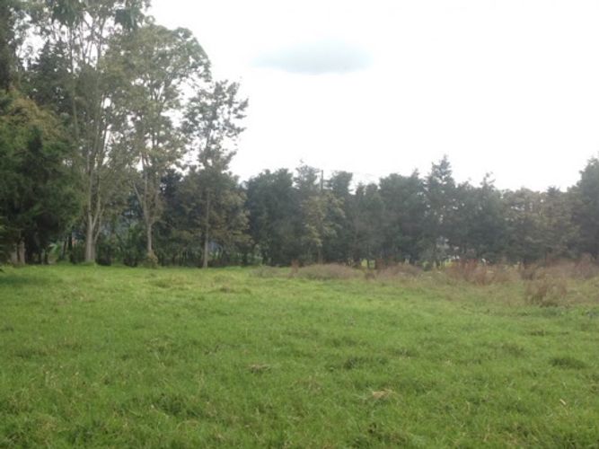 Lote en arriendo en Los Cedros, Chía, 7395 m² · foto 4 de 8
