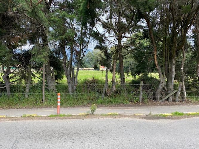 Lote en arriendo en Los Cedros, Chía, 7395 m² · foto 6 de 8