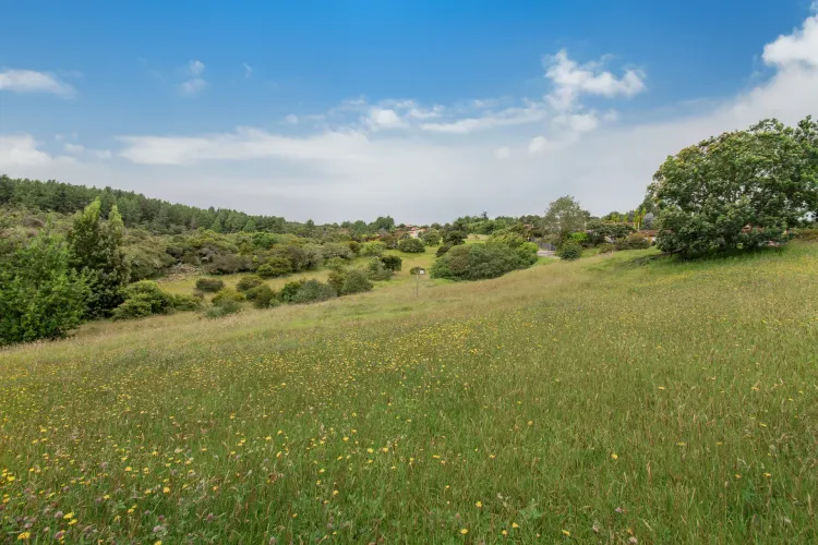 Lote en venta en Yerbabuena, Sopó · foto 6 de 6