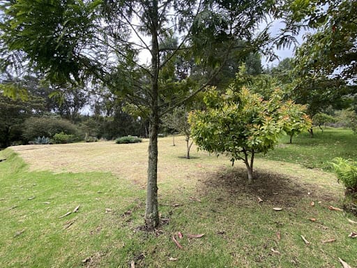 Casa de 10 alcobas en arriendo en Paso Real, La Calera, 1000 m² · foto 17 de 23