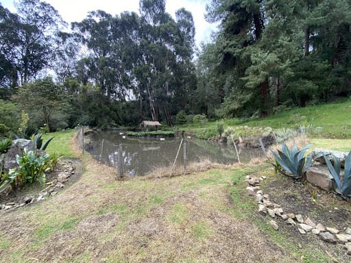 Casa de 10 alcobas en arriendo en Paso Real, La Calera, 1000 m² · foto 22 de 23