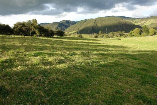 Lote en venta en San Jose, La Calera, 49608 m² · foto 2 de 9