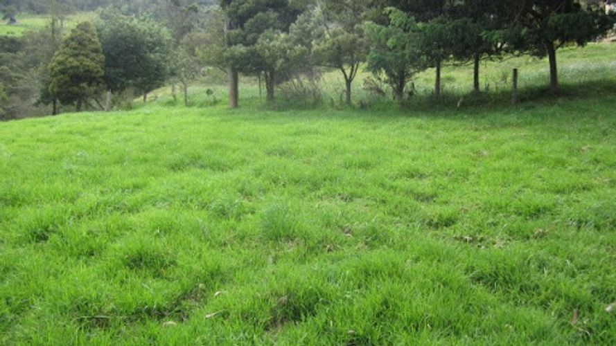 Lote en venta en Paso Real, La Calera, 21563 m² · foto 4 de 24