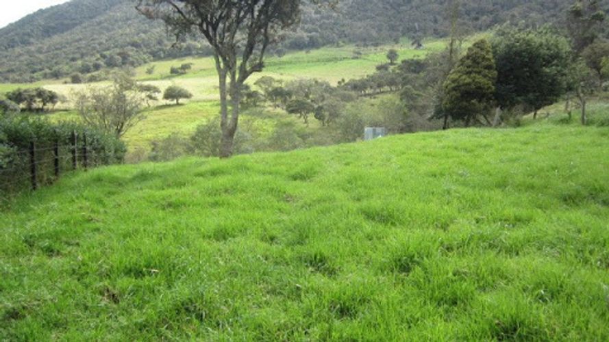 Lote en venta en Paso Real, La Calera, 21563 m² · foto 5 de 24