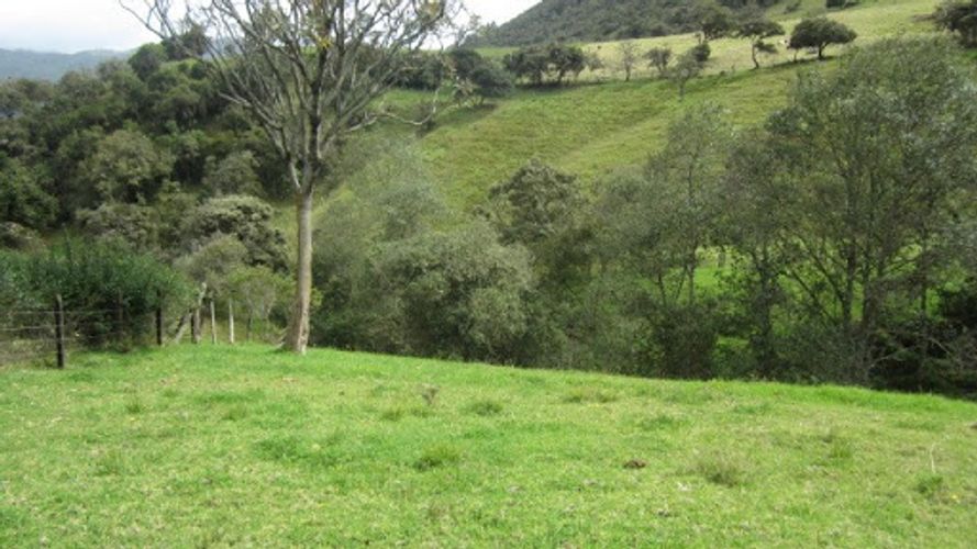 Lote en venta en Paso Real, La Calera, 21563 m² · foto 8 de 24