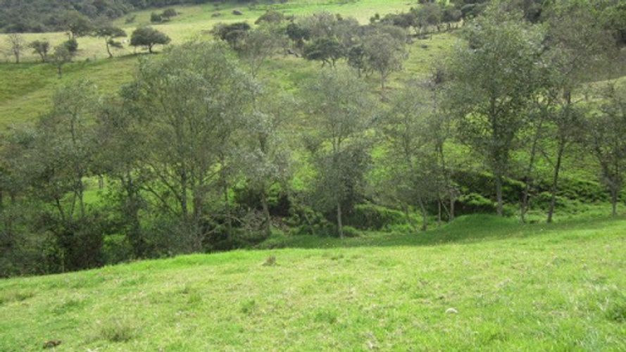 Lote en venta en Paso Real, La Calera, 21563 m² · foto 9 de 24