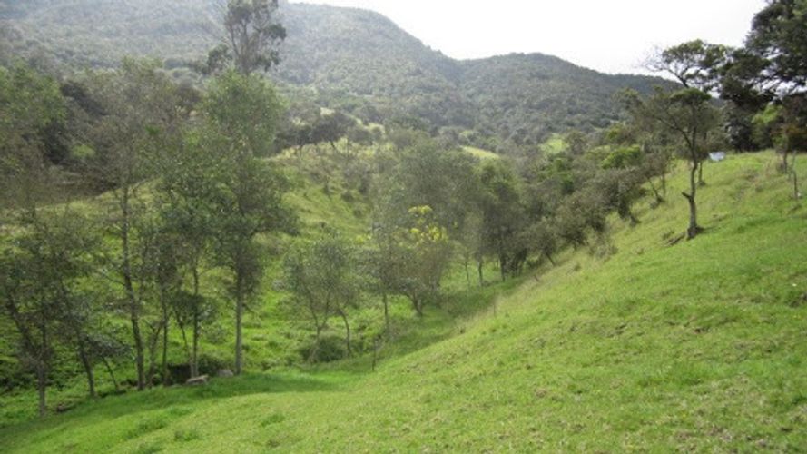 Lote en venta en Paso Real, La Calera, 21563 m² · foto 10 de 24