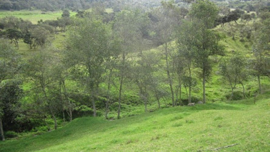 Lote en venta en Paso Real, La Calera, 21563 m² · foto 11 de 24