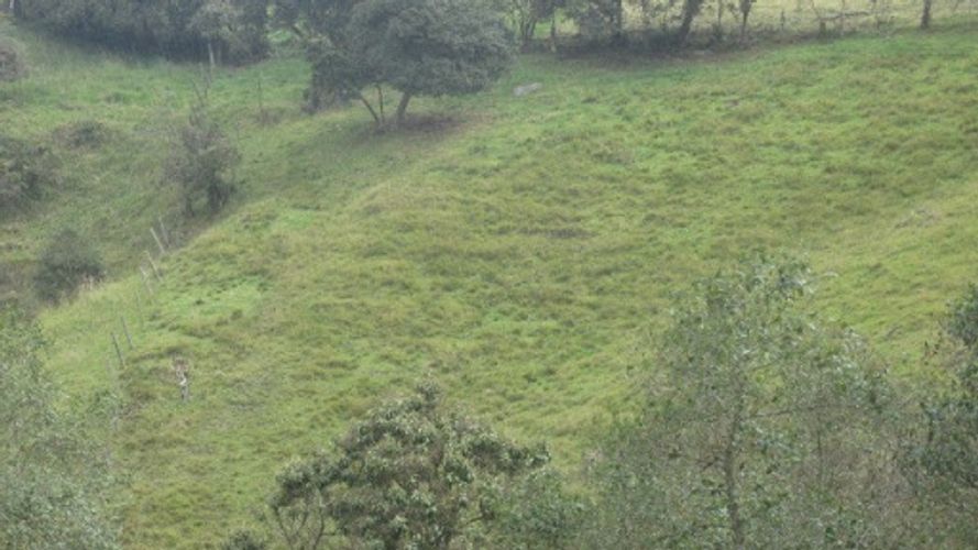 Lote en venta en Paso Real, La Calera, 21563 m² · foto 12 de 24