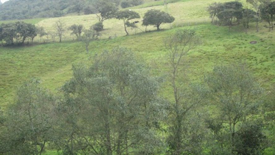 Lote en venta en Paso Real, La Calera, 21563 m² · foto 13 de 24