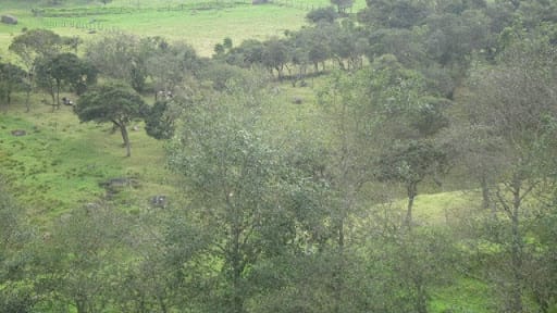 Lote en venta en Paso Real, La Calera, 21563 m² · foto 14 de 24