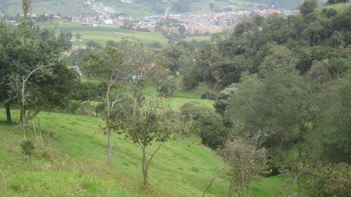 Lote en venta en Paso Real, La Calera, 21563 m² · foto 15 de 24