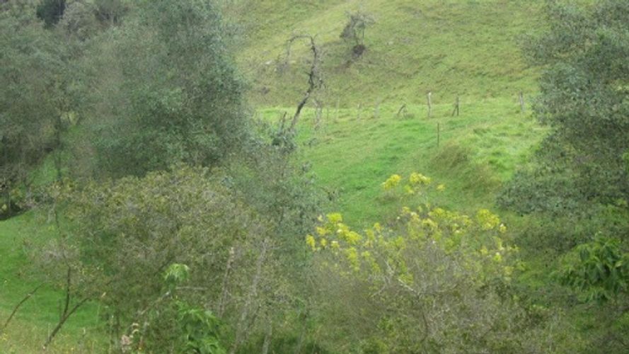Lote en venta en Paso Real, La Calera, 21563 m² · foto 16 de 24