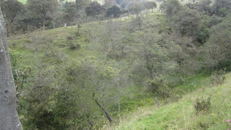 Lote en venta en Paso Real, La Calera, 21563 m² · foto 17 de 24