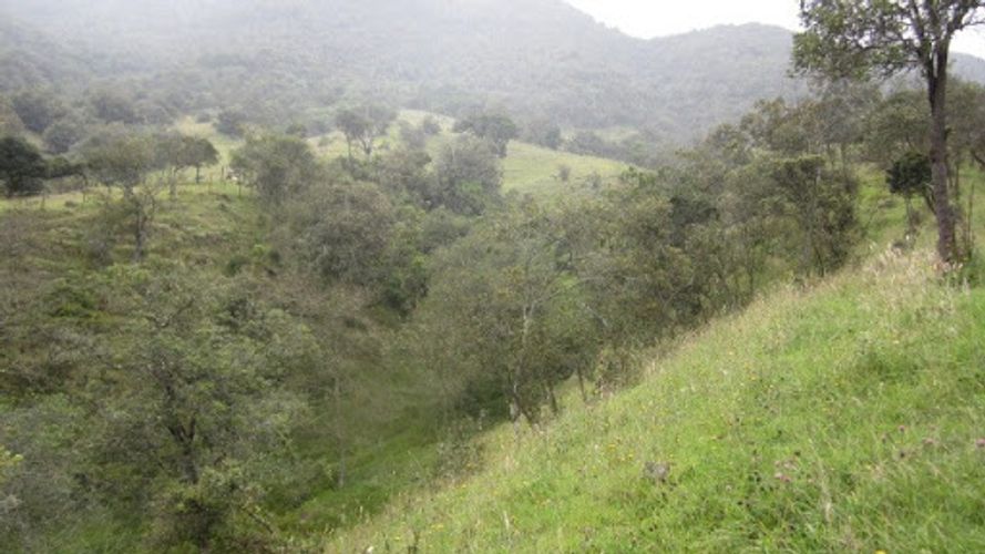 Lote en venta en Paso Real, La Calera, 21563 m² · foto 18 de 24