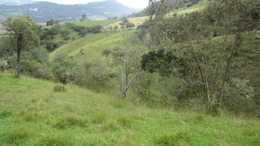 Lote en venta en Paso Real, La Calera, 21563 m² · foto 20 de 24