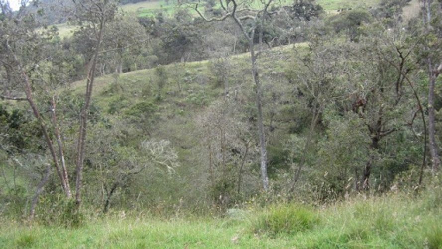 Lote en venta en Paso Real, La Calera, 21563 m² · foto 21 de 24