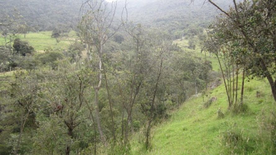 Lote en venta en Paso Real, La Calera, 21563 m² · foto 22 de 24