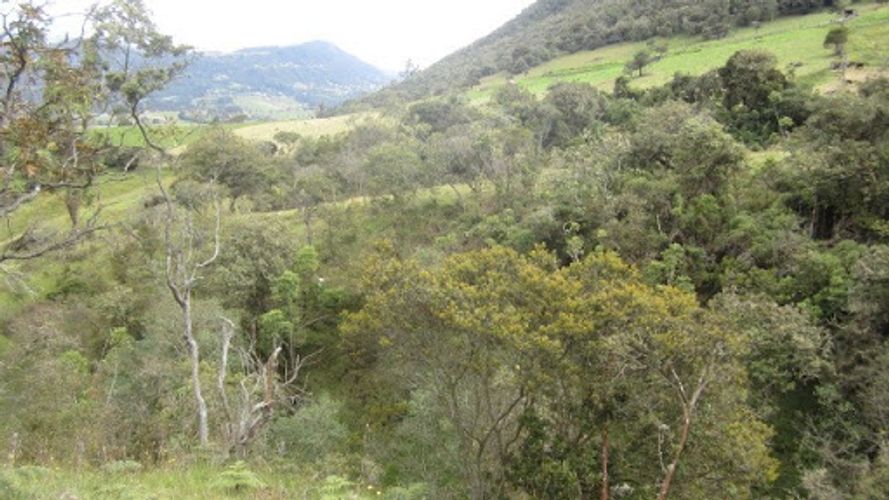 Lote en venta en Paso Real, La Calera, 21563 m² · foto 23 de 24