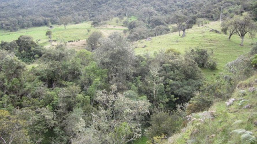 Lote en venta en Paso Real, La Calera, 21563 m² · foto 24 de 24