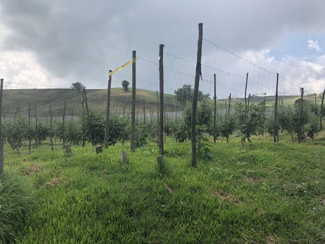 Lote en venta en La Estancia, Madrid · foto 10 de 18