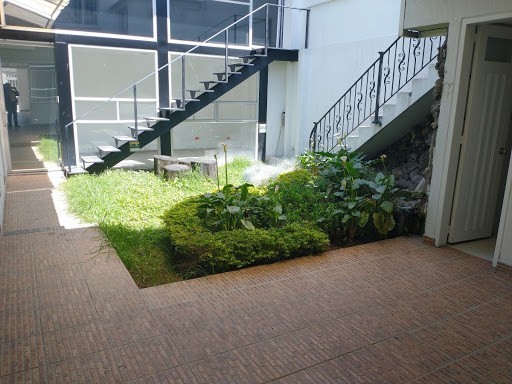 Casa en venta en Polo Club, Bogotá · foto 7 de 24