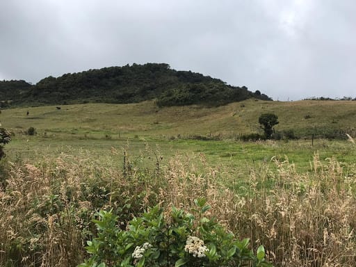 Lote en venta en Paso Real, La Calera, 56845 m² · foto 7 de 14