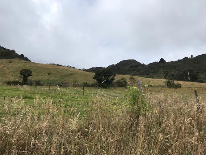 Lote en venta en Paso Real, La Calera, 56845 m² · foto 8 de 14