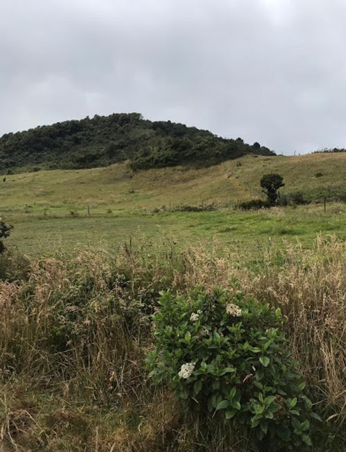 Lote en venta en Paso Real, La Calera, 56845 m² · foto 9 de 14