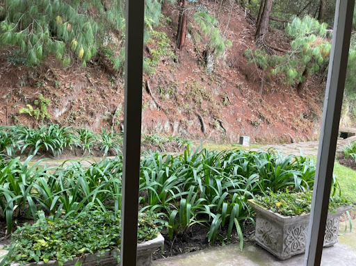 Apartamento en venta en Los Rosales, Bogotá · foto 11 de 24
