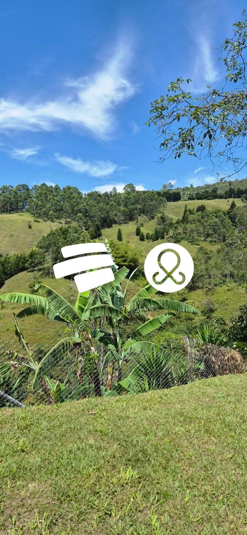Casa de 4 alcobas en venta en Laureles, Medellín, 750 m² · foto 22 de 24