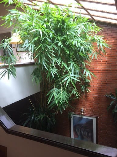 Casa de 4 alcobas en venta en Santa Barbara, Bogotá, 280 m² · foto 11 de 17