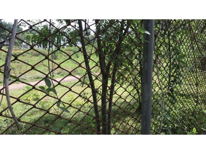 Lote en venta en Pance, Cali, 3300 m² · foto 3 de 4