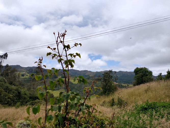 Lote en venta en El Libano, La Calera, 5446 m² · foto 2 de 13