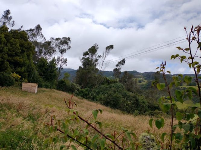 Lote en venta en El Libano, La Calera, 5446 m² · foto 3 de 13
