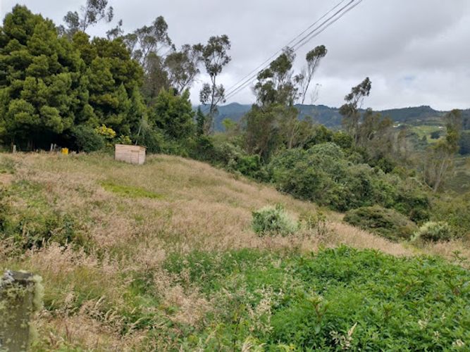 Lote en venta en El Libano, La Calera, 5446 m² · foto 10 de 13
