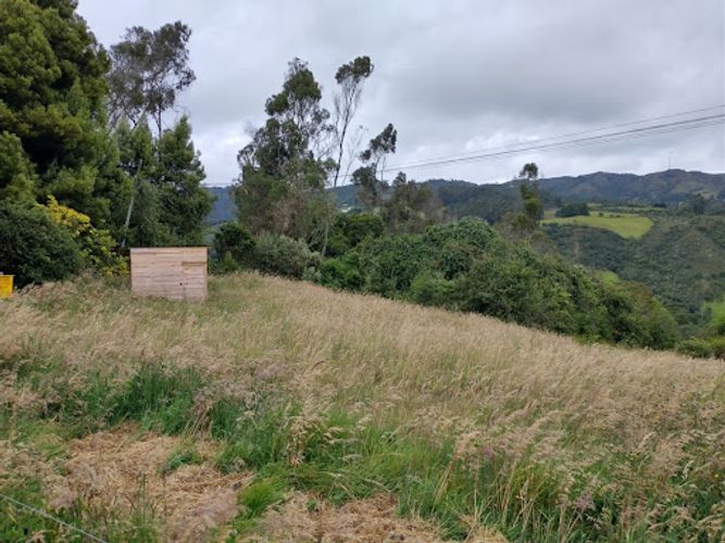 Lote en venta en El Libano, La Calera, 5446 m² · foto 11 de 13