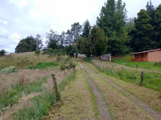 Lote en venta en El Libano, La Calera, 5446 m² · foto 12 de 13