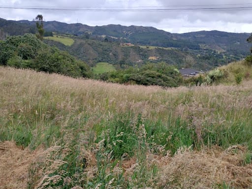 Lote en venta en El Libano, La Calera, 5446 m² · foto 13 de 13